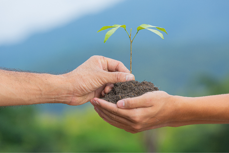 مسار التطوع والتنمية الاجتماعية    